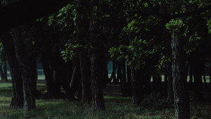 Le Navire Night háttérkép