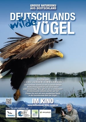 Deutschlands wilde Vögel poszter