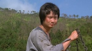 Majom Kung Fu háttérkép
