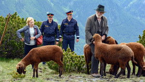 Sommernachtsmord háttérkép