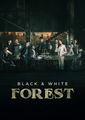 黑白森林 poszter
