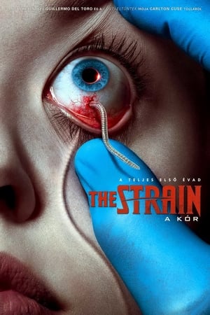 The Strain - A kór