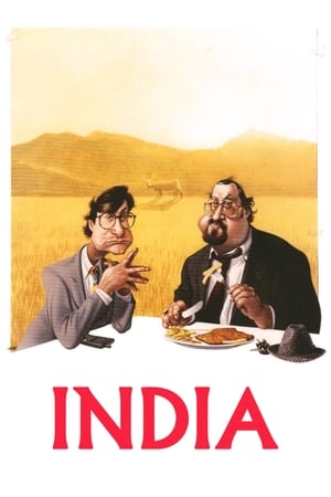 Indien - der Film poszter