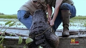 Swamp People 3. évad Ep.4 4. epizód