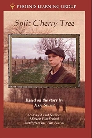 Split Cherry Tree