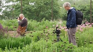 Five Seasons: The Gardens of Piet Oudolf háttérkép