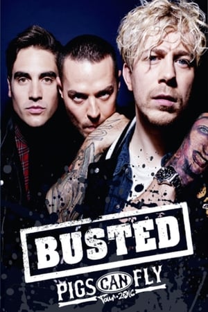 Busted: Pigs Can Fly Tour 2016 poszter