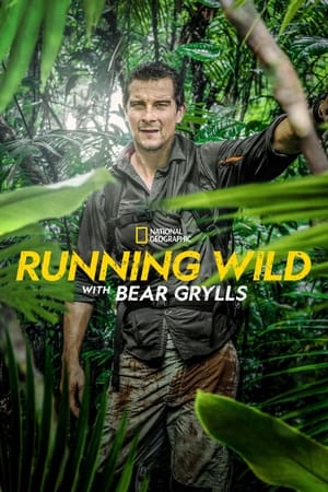 Bear Grylls: Sztárok a vadonban