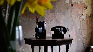 The Telephone háttérkép