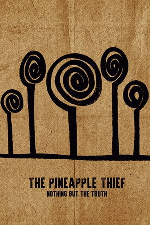 The Pineapple Thief: Nothing but the Truth poszter