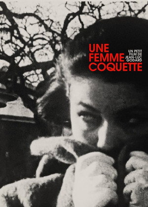 Une femme coquette poszter