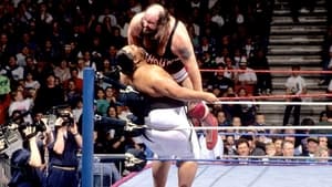 WWE Royal Rumble 1993 háttérkép