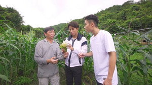 香港原味道 3. évad Ep.27 27. epizód