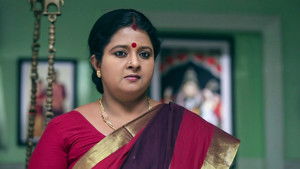 சின்னதம்பி Season 1 Ep.48 48. epizód