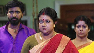 சின்னதம்பி Season 1 Ep.53 53. epizód