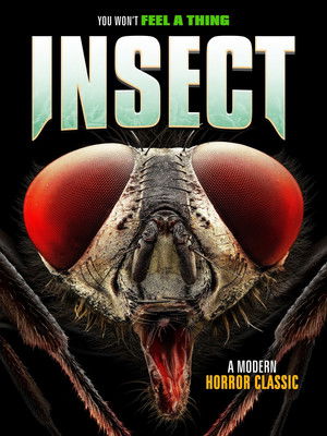 Insect poszter