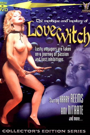 The Love Witch poszter