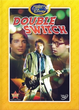 Double Switch poszter