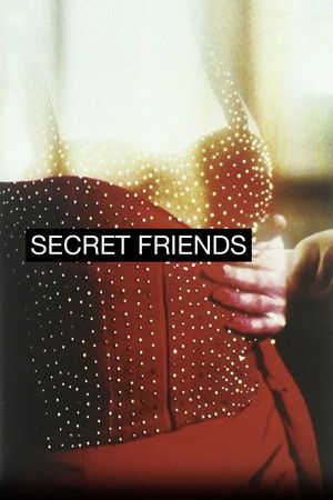 Secret Friends poszter