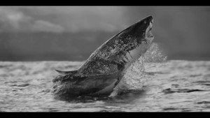 Air Jaws Strikes Back háttérkép
