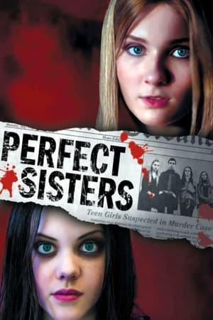 Perfect Sisters poszter