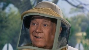 Petticoat Junction 5. évad Ep.16 16. epizód
