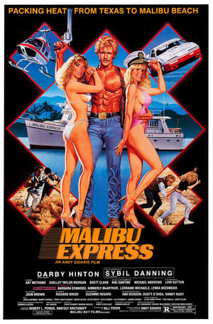 Malibu Express poszter