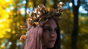 Die Druiden: Mächtige Priester der Kelten háttérkép