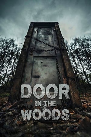 Door in the Woods poszter