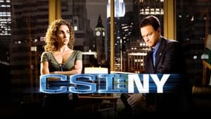 CSI: New York-i helyszínelők kép