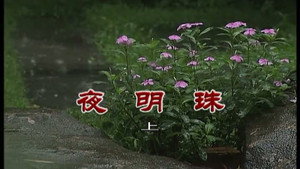 外来媳妇本地郎 7. évad Ep.2906 2906. epizód