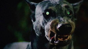 Devil Dog: The Hound of Hell háttérkép