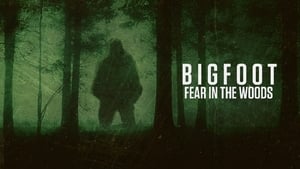 Bigfoot: Fear in the Woods háttérkép