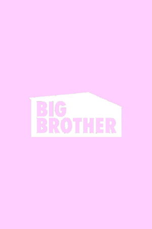 Big Brother poszter