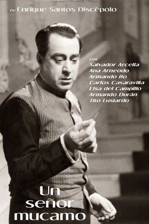 Un señor mucamo poszter