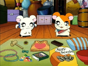 とっとこハム太郎 Season 1 Ep.77 77. epizód