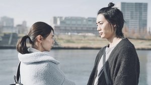 Sugar Sugar Honey 1. évad Ep.1 1. epizód