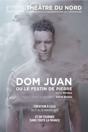 Dom Juan ou le festin de pierre poszter