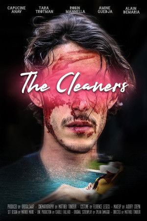 The Cleaners poszter