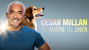 Cesar Millan: Jó gazdi, jó kutya kép