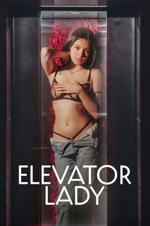 Elevator Lady poszter