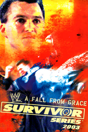 WWE Survivor Series 2003 poszter