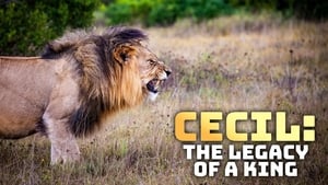 Cecil: Egy király öröksége háttérkép