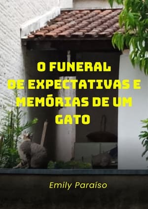 O funeral de expectativas e memórias de um gato