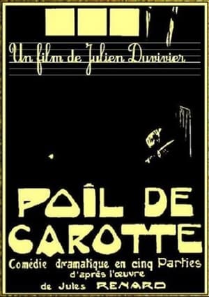 Poil de carotte poszter