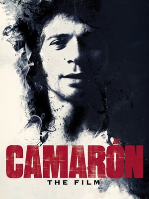 Camarón: Flamenco y revolución poszter