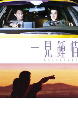 一見鍾情 poszter
