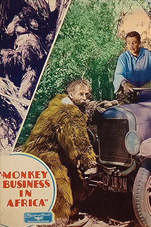 Monkey Business in Africa poszter