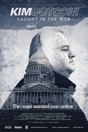 Kim Dotcom: Caught in the Web poszter