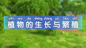斑马百科 4. évad Ep.8 8. epizód